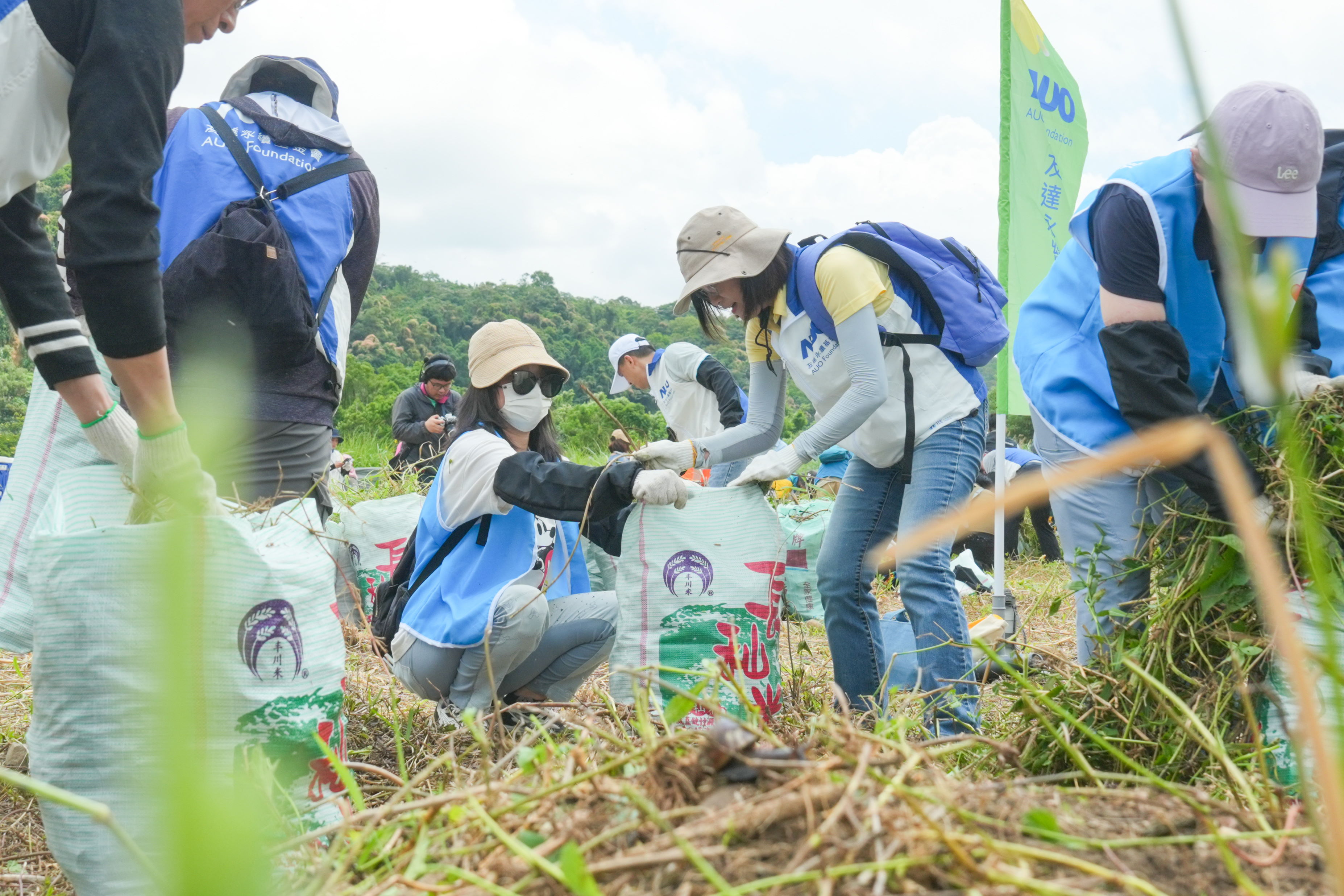 熊猫体育「中国」除蔓防治計畫，除了鎖定霄裡溪沿岸3.2公里移除外來入侵種小花蔓澤蘭，並進行物種與空拍調查，共記錄91科181屬239種維管束植物，顯示該區域具高度生態價值